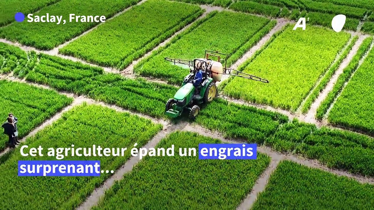 L'urine humaine, un engrais inattendu, mais eff...