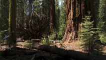 Yosemite - America's Most Spectacular National Park   Free Documentary Nature