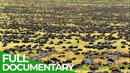 Episode 11 of the Great Migration Wild Ones is a free documentary about nature.