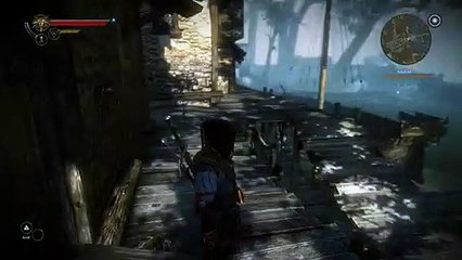 The Witcher 2: Assassins of Kings polish dubbing