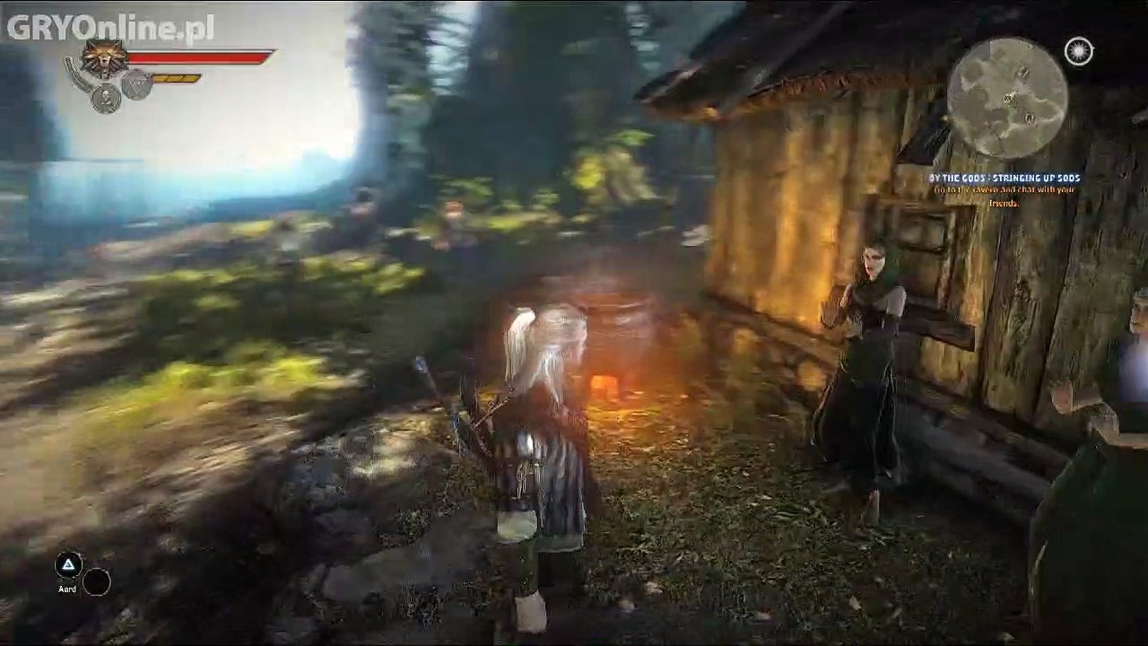The Witcher 2: Assassins of Kings Living World