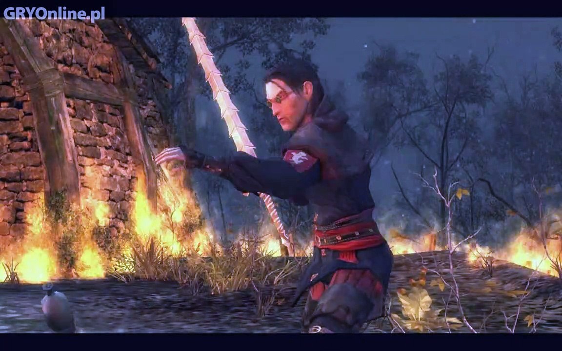 The Witcher Scoia'tael