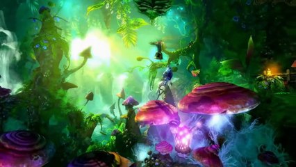 Trine 2: Complete Story Co-op