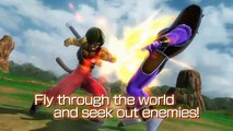 Dragon Ball Z: Ultimate Tenkaichi Hero Mode