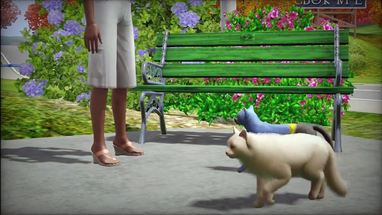 The Sims 3: Pets Honey Badger