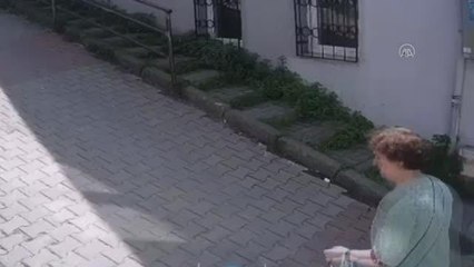 Kağıthane'de evcil köpeği yaralayan pitbullun sahibine para cezası verildi