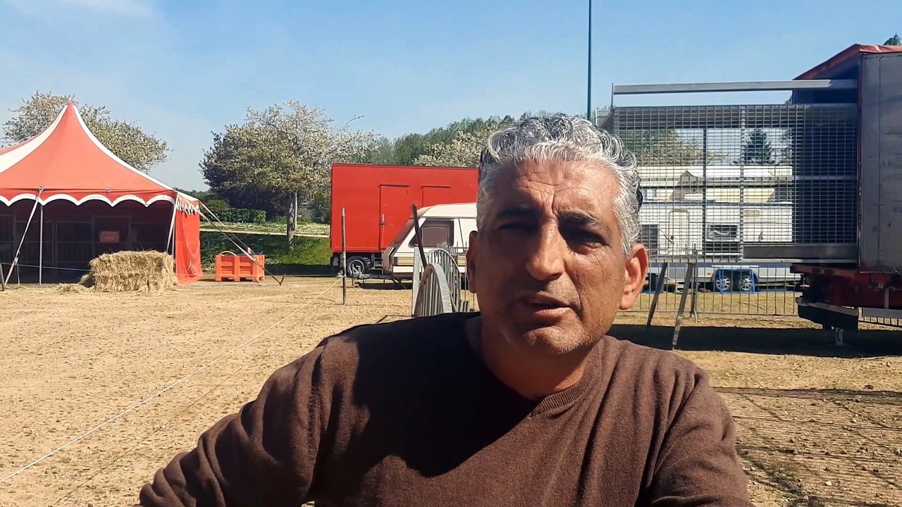 Covid, polémique sur les animaux, où en sont les cirques