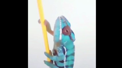 Şahan Gökbakar: Ülkemizde bir grup basın