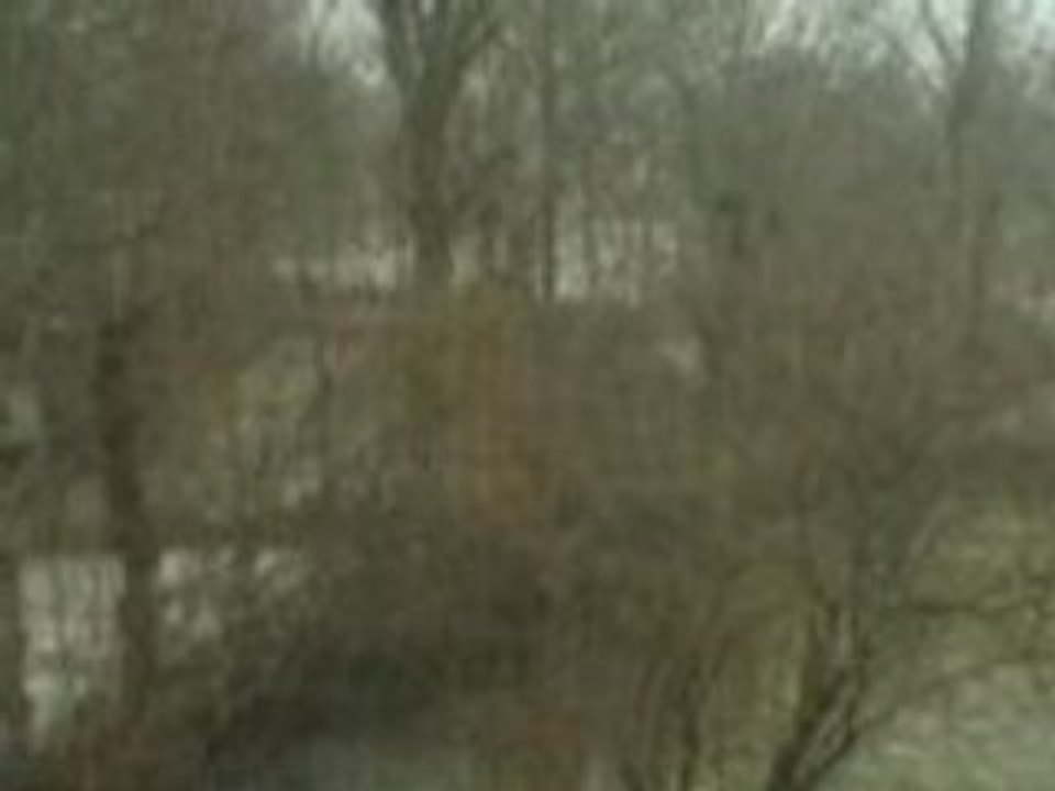 Neige2