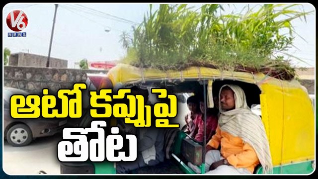 Driver Grows Garden On Auto Roof To Beat Heat | Delhi | V6 News