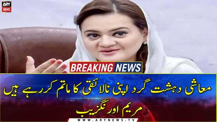 Marriyum Aurangzeb says PM Sharif provided relief to masses in two weeks