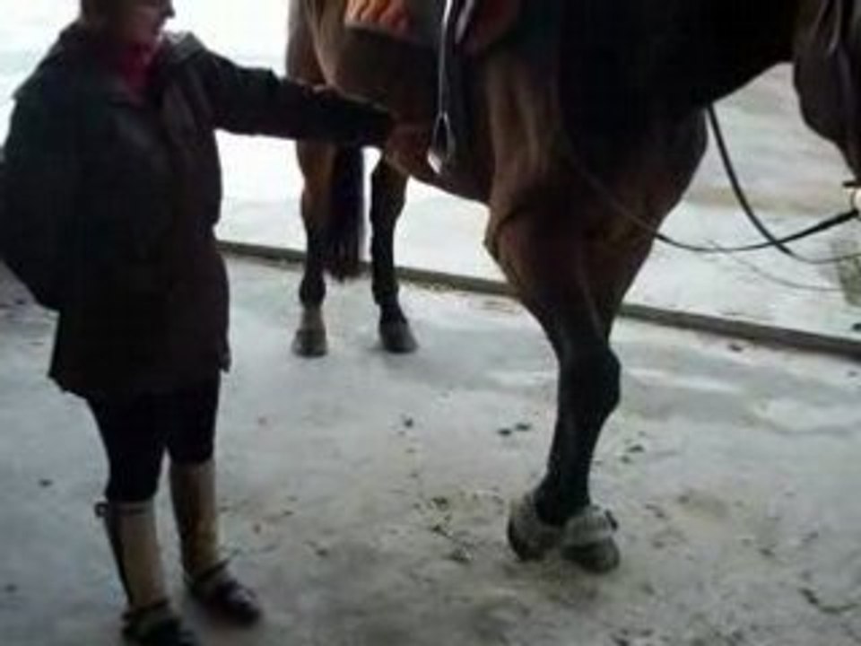 passion cheval SF  jambette 2eme leçon