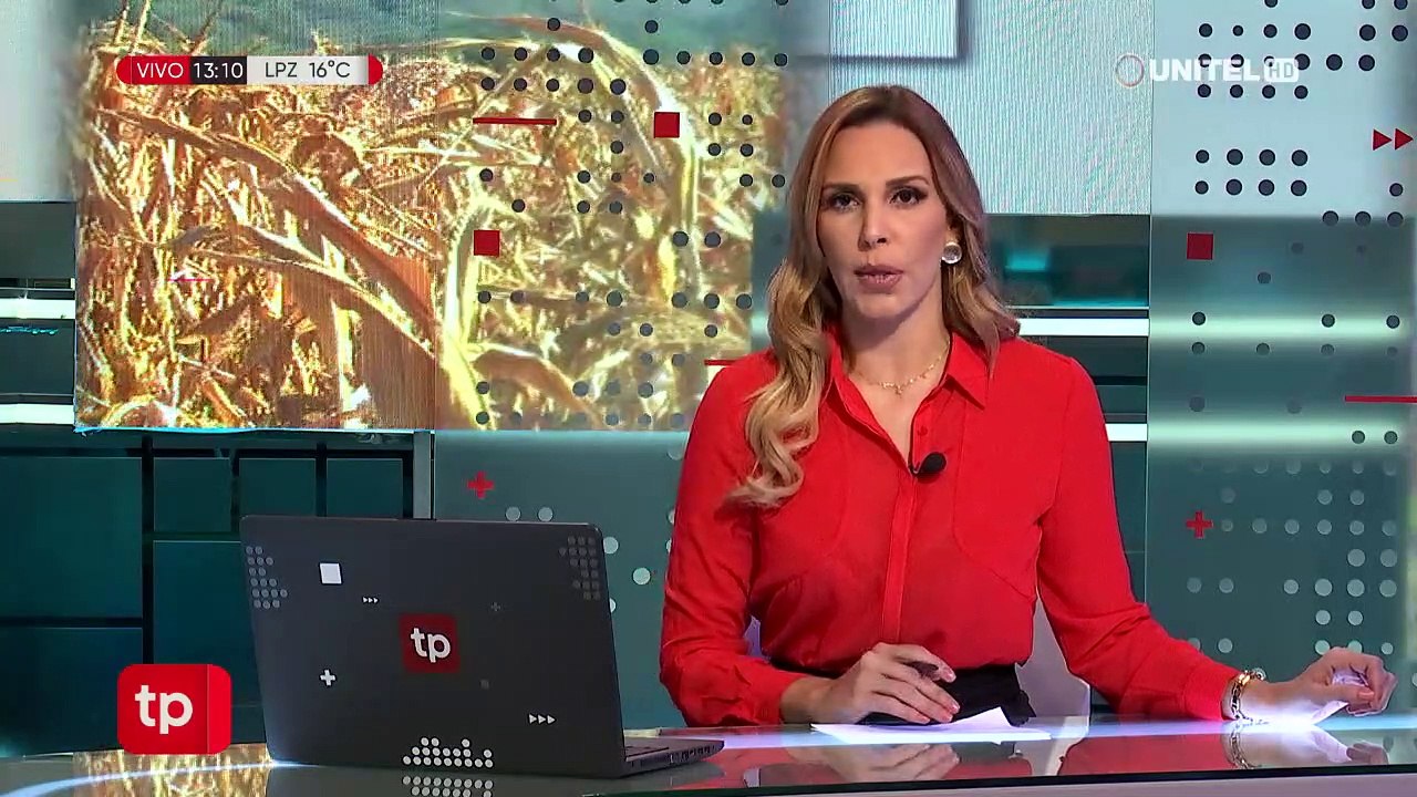 Municipios de Gutiérrez y Lagunillas piden que se declare zona de desastre por la sequía de cultivos de maíz  (!)