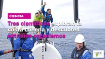 Tres científicos exploran la costa chilena y descubren extraños organismos