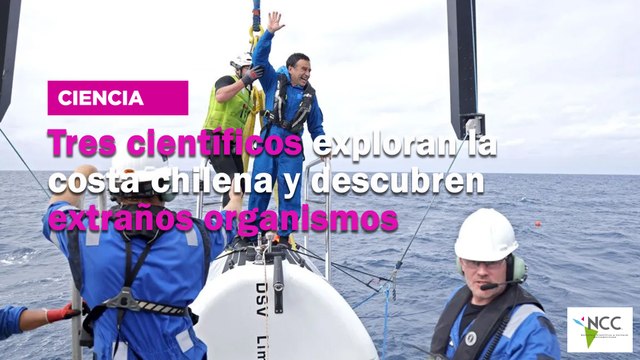 Tres científicos exploran la costa chilena y descubren extraños organismos