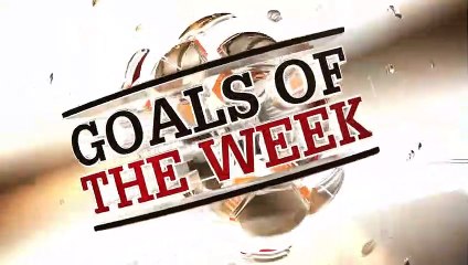 FIFA 13 goals of the week: round 25