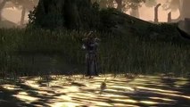 The Elder Scrolls Online: Tamriel Unlimited Gathering and exploration (PL)