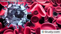 Innate Immunity- Inflammation, Neutrophils & Natural Killer Cells