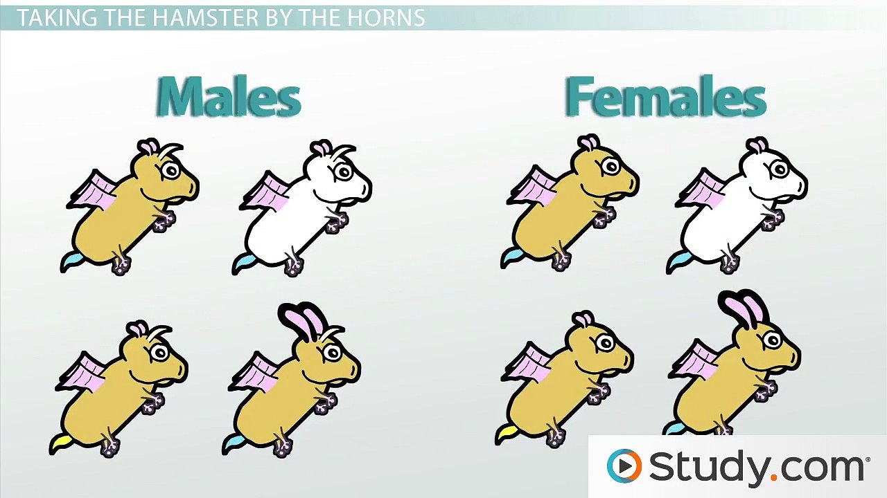 Exceptions To Independent Assortment Sex Linked And Sex Limited Traits 