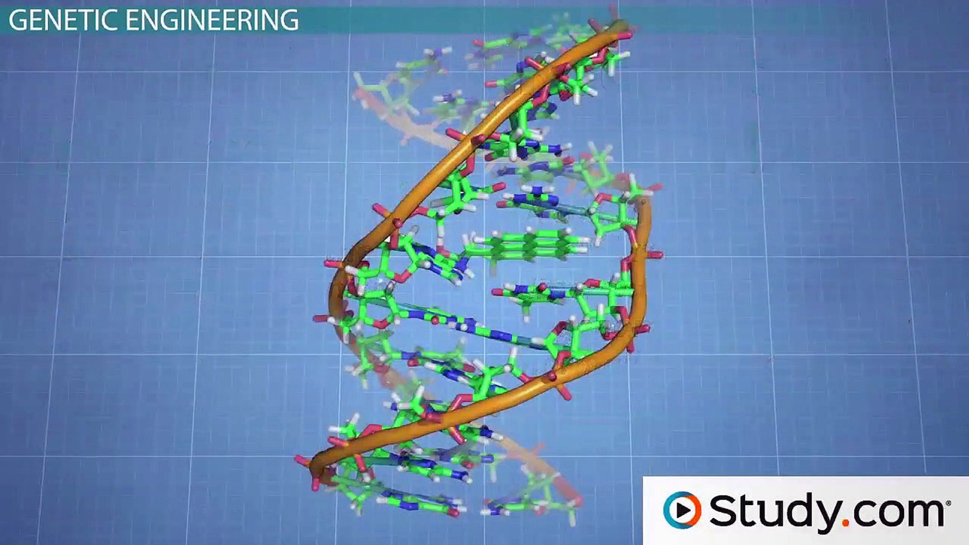 ⁣What is Genetic Engineering- - Definition and Examples