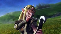 Hyrule Warriors Legends tv spot