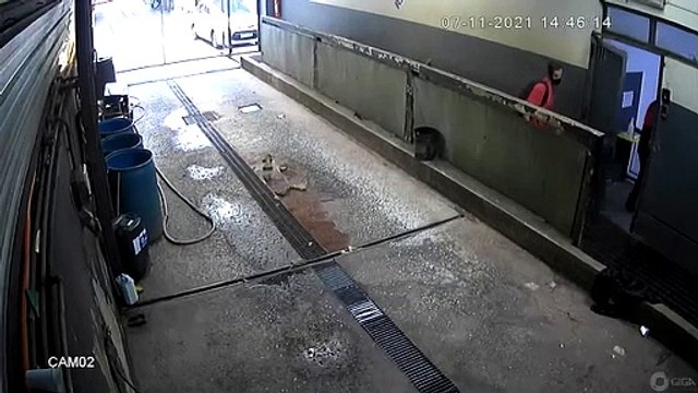 Dupla suspeita em tentativa de de homicídio contra criança furta R$ 12 mil de posto da Asa Sul