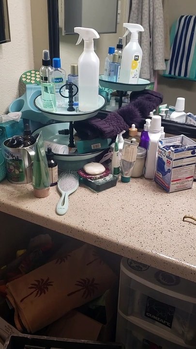 Blizz the Iguana Makes for a Bad Cat Climbing on Bathroom Counter