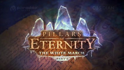 Pillars of Eternity: The White March Part I E3 2015 - trailer
