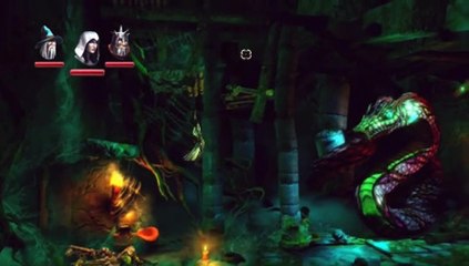 Trine 2: Complete Story Forgotten Wilderness (2)