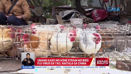 Unang kaso ng H3N8 strain ng bird flu virus sa tao, naitala sa China | UB