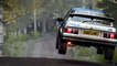 DiRT Rally Cars of DiRT Modern Masters