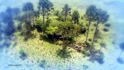 Genesis subtitulado Capitulo 2 (parte 2)- subtitulos en español completo