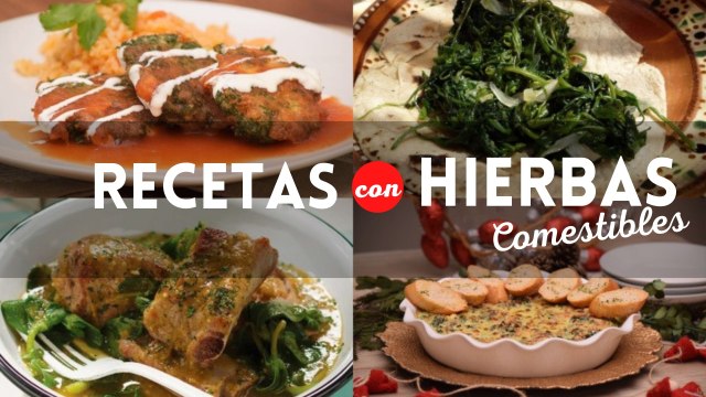 4 fáciles y económicas recetas con hierbas comestibles | Platillos con plantas comestibles | Cocina Vital