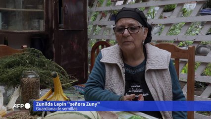 Las "manos verdes" de la señora Zuny que recopilan semillas con cariño ancestral en Chile