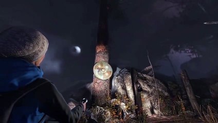 Through the Woods trailer #