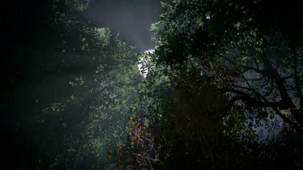 Shadow of the Colossus PGW 2017 trailer