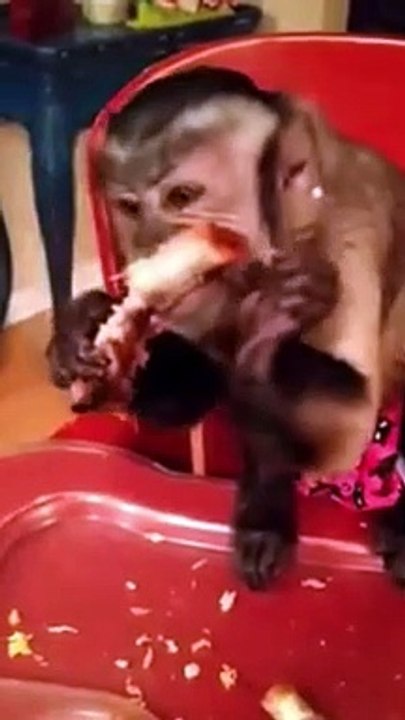 This short video popped up in my memories from 5 years ago today of 4 year old Baby Gaitlyn having ribs!!!! 2017