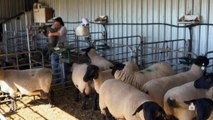 Self-made farming success story from South Australia