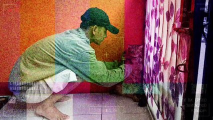 Tips Merawat Kucing Sesuai Pengalaman Pribadi