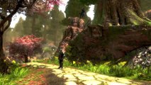 Kingdoms of Amalur: Re-Reckoning Switch trailer