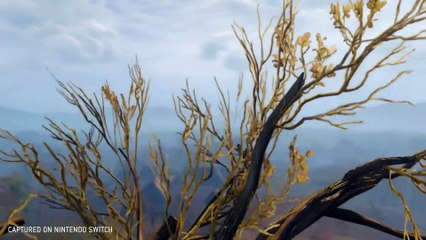 The Witcher 3: Wild Hunt E3 2019 trailer