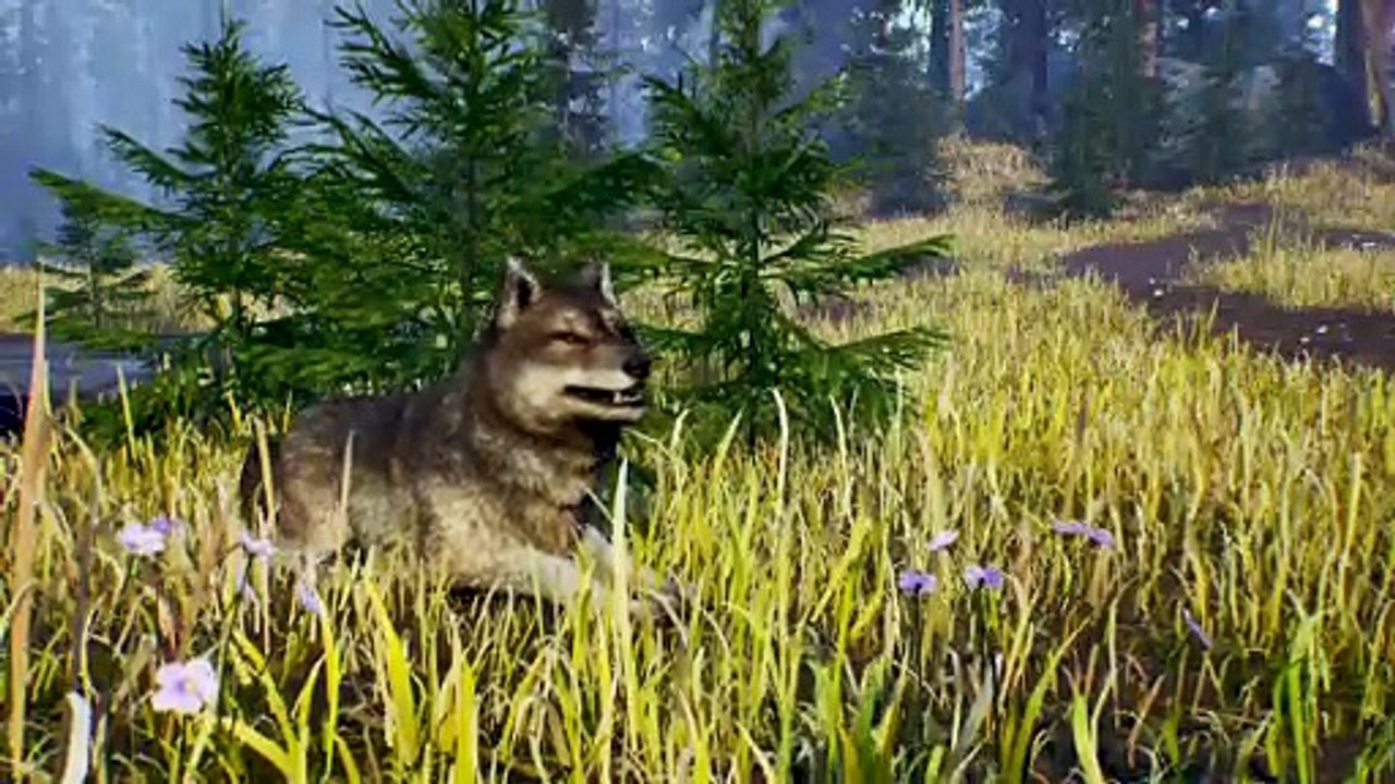Open Country gameplay trailer #1
