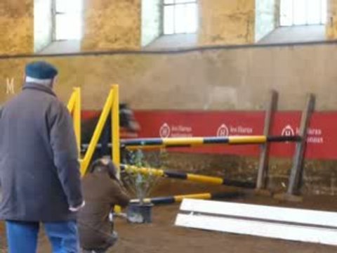 Etalons Poney Haras du PIn Mars 2008 NEICOP D'ARGENT 2