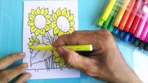 1 | Coloring pictures of Sunflower | Tô màu hoa hướng dương | #coloring  #tomau #tômàu #flowers