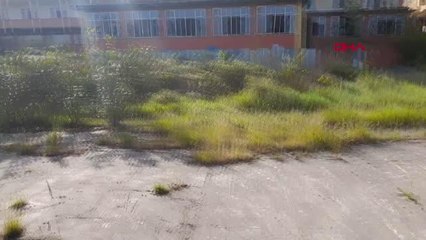 Son dakika haberi! ŞİLE'DE ESKİ OTELİN HAVUZU SOKAK HAYVANLARINA ÖLÜM TUZAĞI OLDU