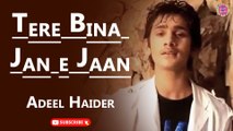 Tere Bina Jan e Jaan | Adeel Haider | Love Song | Gaane Shaane