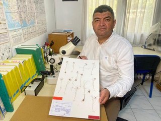 BİLİM DÜNYASI, ENDEMİK TÜR 'İZMİR SOĞANI'NI KEŞFETTİ