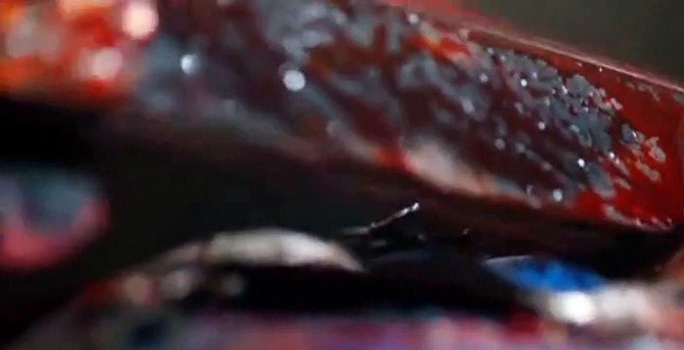 Ash vs Evil Dead (TV Series 2015) S01 E09