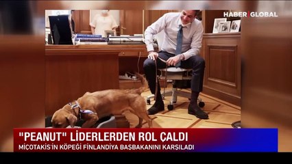 Finlandiya liderine sürpriz karşılama: Miçotakis'in köpeği Peanut herkesten rol çaldı!