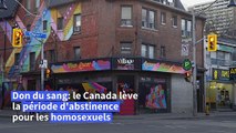 Don du sang: la communauté gay canadienne salue la levée de la période d'abstinence
